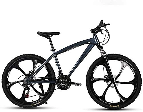 Mountain Bike : FDSAD Mountain Bike da adulto da 24 pollici, bicicletta da spiaggia in motoslitta a doppio disco, ruote in lega di alluminio, uomo donna uso generale, grigio, 27 velocità