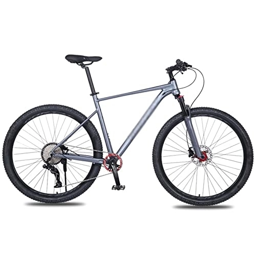 Mountain Bike : IEASEzxc Bicycle Frame Aluminum Alloy Mountain Bike Bicycle Double Oil Brake Front; Rear Quick Release Lmitation Carbon (Color : Grey)