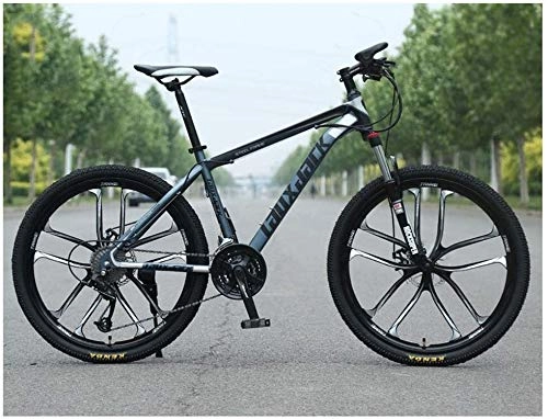 Mountain Bike : JF-XUAN Bicicletta Sport all'Aria Aperta MTB Sospensione Anteriore 30 velocità con Mountain Bike 26" 10 Razze con Freni a Doppio Olio e Telaio HighCarbon Acciaio, Grigio