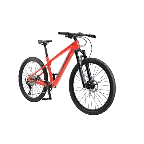 Mountain Bike : LANAZU Bicicletta da uomo, mountain bike in fibra di carbonio, bici da fondo per ciclismo all'aperto, adatta per adulti, studenti (Red 26x17)