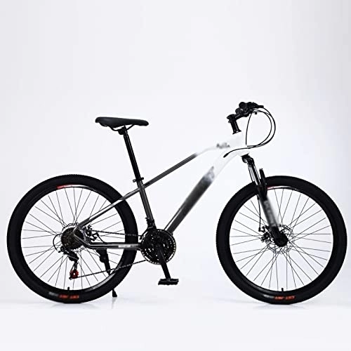 Mountain Bike : LANAZU Mountain bike, bici da neve per studenti con assorbimento degli urti a velocità variabile, bici da fondo, adatta per il trasporto e il ciclismo