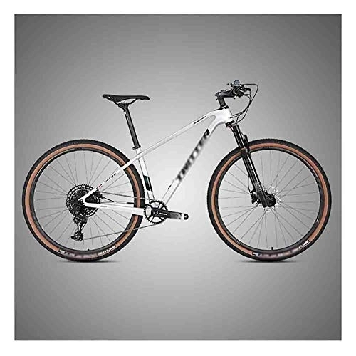 Mountain Bike : LILIS Mountain Bike Bicicletta MTB Mountain Bike Adulti Concorso velocità variabile Strada Biciclette for Uomini e Donne Doppio Freno a Disco in Carbonio Telaio (Color : Silver, Size : 29 * 17IN)
