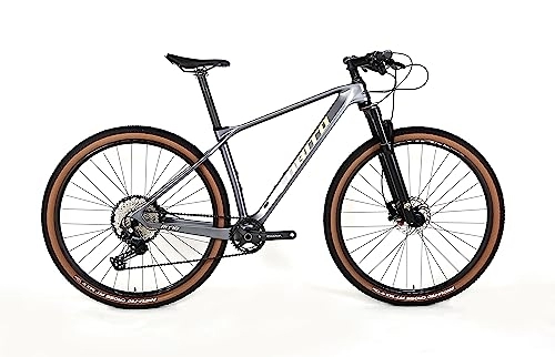Mountain Bike : LOBITO MT10 (17, grigio)