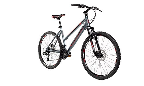 Mountain Bike : Moma Bikes bigtwg18 Bicicletta, Unisex Adulto, Grigio, M-L