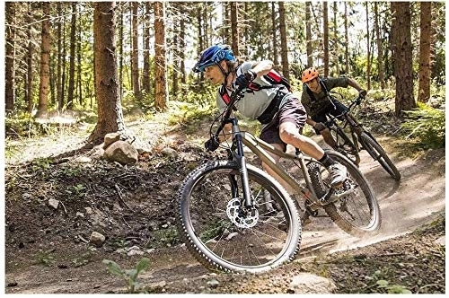 Mountain Bike : Mountain Bike, 26inch 21-velocità, Bike doppio freno a disco hardtail, Adulto All Terrain for mountain bike, sedile regolabile e manubrio (Color : 26 Inches Black)