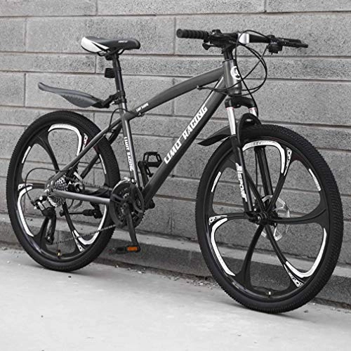 Mountain Bike : Mountain bike per adulti, ad alta acciaio al carbonio Telaio Beach biciclette, doppio freno a disco Off-Road di neve, 24 pollici sei coltelli in lega di magnesio integrata Ruote, Grigio, 27 speed