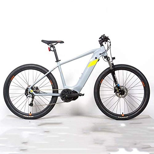 Bicicletas de montaña eléctrica : Bicicleta Eléctrica, Aleación Aluminio 36V14A Bicicletas Freno Disco Doble 250W Bike Deportes Aire Libre, Gris