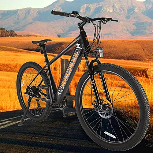 Bicicletas de montaña eléctrica : Bicicleta eléctrica Batería Extraíble 250 W Motor E-Bike MTB Pedal Assist con Instrumento LCD Central & Autonomía Buena