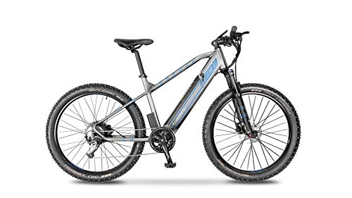 Bicicletas de montaña eléctrica : Bicicleta eléctrica Performance Mountainbike, Unisex, Adulto, Gris y Azul, Talla única
