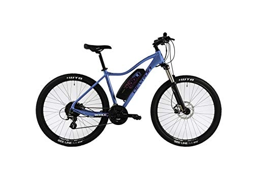 Bicicletas de montaña eléctrica : FC Bikes DEVRON Riddle WE1.7 Blue