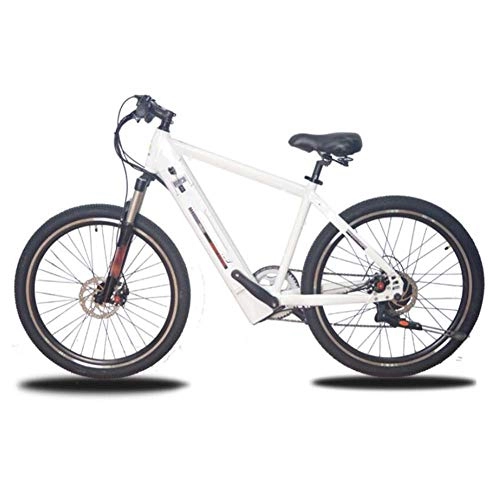 Bicicletas de montaña eléctrica : FZYE 26 Pulgadas Bicicleta Eléctrica, 36V 10A 250W Bicicletas Adulto Bike Deportes Aire Libre Ciclismo