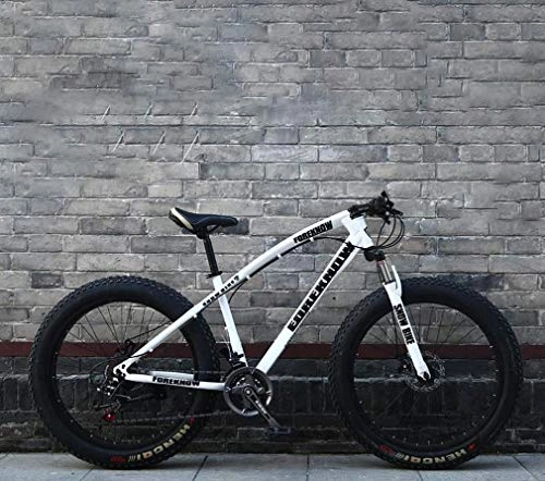 Bicicletas de montaña Fat Tires : Alqn Fat Tire Bicicleta de montaña de 26 pulgadas para hombre, bicicleta de playa, bicicletas de crucero con doble freno de disco, ruedas anchas 4.0, bicicleta de nieve para adultos, Blanco, 24 velocid