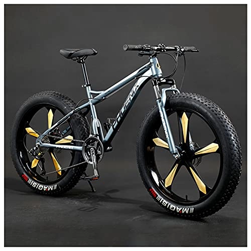 Bicicletas de montaña Fat Tires : Bicicleta de Montaña Adulto de 26 Pulgadas, Hardtail Bicicleta BTT Enduro para Hombres Mujeres, Acero de Alto Carbono Niña Niño MTB, Freno Disco, Gray 5 Spoke, 21 Speed