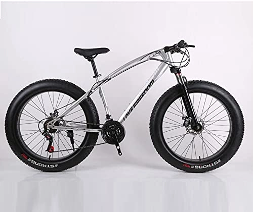Bicicletas de montaña Fat Tires : Bicicleta de montaña de aluminio para Jungen, M?dchen, 21 Gang Schaltung, Scheibenbremse 26 Zoll 4.0 Reifen Rahmen Alu MTB Plata