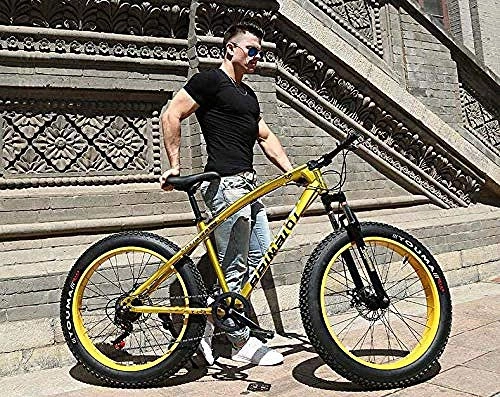 Bicicletas de montaña Fat Tires : CXY-JOEL Mountain Bikes Dual Disc Brake Fat Tire Cruiser Bike Marco de Acero de Alto Carbono Asiento Ajustable Bicicleta-Azul_26 Pulgadas 7 Velocidad, Plata