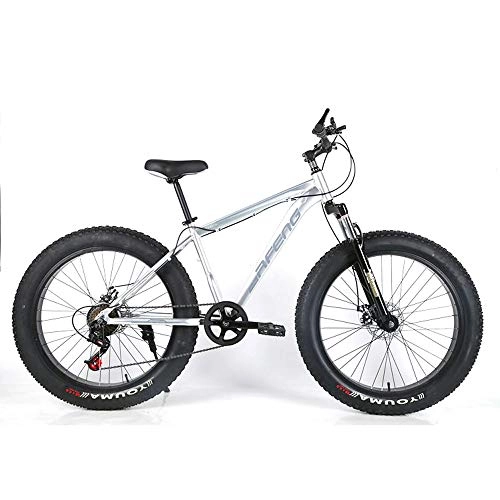 Bicicletas de montaña Fat Tires : JH Bicicleta De Montaa, 26 Pulgadas De Aleacin De Aluminio De Velocidad Variable Nieve Playa De Bicicletas De Montaa 4.0 Widen 21 De Velocidad De Bicicletas De Montaa