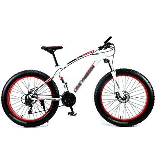 Bicicletas de montaña Fat Tires : LANAZU Bicicleta Bicicleta de Montaña Bicicletas con Neumáticos Gordos Amortiguadores Bicicleta Bicicleta de Nieve