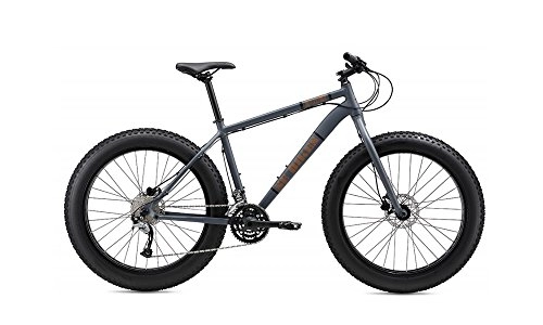 Bicicletas de montaña Fat Tires : SE BIKES F@E Fat Bike Fatbike Mountenbike MTB Einsteigermodell con frenos de disco hidráulicos y Full Fat Ready modelo 2016 (XL / 21")
