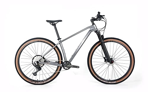 Bicicletas de montaña : Bicicleta de montaña ICe MT10 Cuadro de Fibra de Carbono, Rueda 29', monoplato, 12V (Gris, 19')
