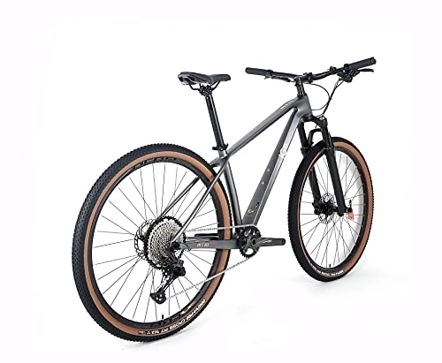 Bicicletas de montaña : ICe Bicicleta de montaña MT10 Cuadro de Fibra de Carbono, Rueda 29', monoplato, 12V (Gris, 19')