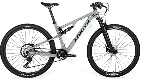 Bicicletas de montaña : LOBITO MT20 (15)