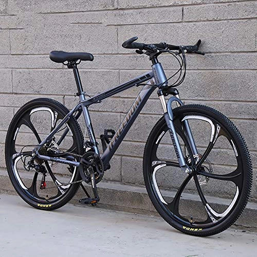 Bicicletas de montaña : RICHLN 21-24-27-30 Velocidad Variable Portátil Al Aire Libre Bicicleta De Montaña City Urban Commuters para Adolescentes Adultos, Bicicleta Plegable para Adultos Hombres Mujeres Gris 24", 21 Velocidad