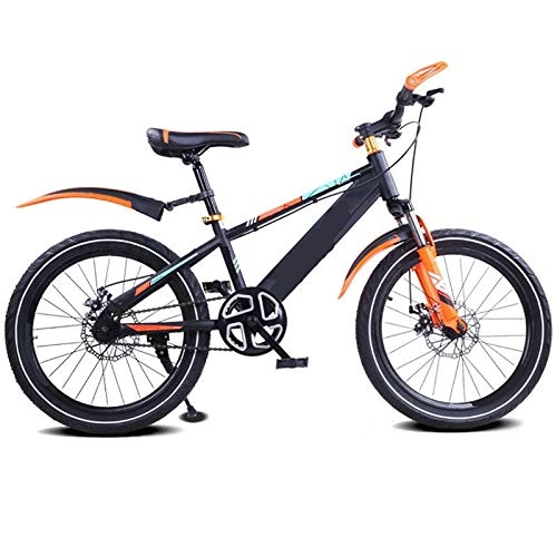 Bicicletas de montaña : ZJBKX Bicicleta infantil de freno de disco de absorción de golpes de una sola velocidad, bicicleta de montaña de 20 pulgadas