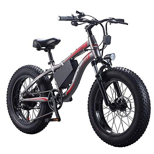 Electric Mountain Bike : 20 Inch Electric Bike 350W 36V 10AH Removable Lithium Battery Mountain Bike City Bike Power Assist with Carbon Steel Frame & Dual Disc Brakes