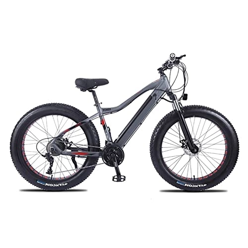 Electric Mountain Bike : 26" Fat Tire Ebike Adults 500W Electric Bicycle with Removable 48V 10AH Lithium Battery 21.7 MPH Snow Beach Mountain E-Bike 27-Speed (Color : 48V 750W)
