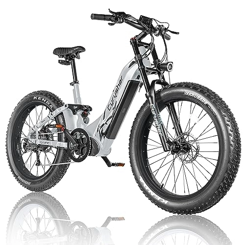 Electric Mountain Bike : 26inch Aluminum Frame Electric Bike For Adults, Trax Mountain Ebike 250W 52V 20Ah 1040wh, 4" All-Terrain Fat Tire, Shimano 9-Speed Rear, Full Air Suspension, (Grey)