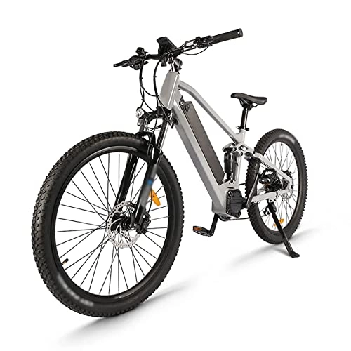 Electric Mountain Bike : Adults Electric Bike 750W 48V 26'' Tire Electric Bicycle, Electric Mountain Bike with Removable 17.5ah Battery, Professional 21 Speed Gears (Color : Gray)