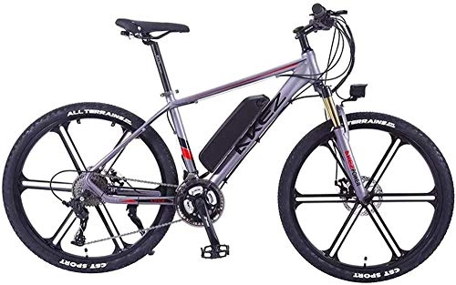 Electric Mountain Bike : Electric Snow Bike, 26 Inch Electric Bike Electric Mountain Bike 350W Ebike Electric Bicycle, 30Km / H Adults Ebike with Removable Battery, Suitable for All Terrain Lithium Battery Beach Cruiser for Adu