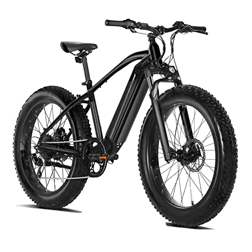 Electric Mountain Bike : LWL 750W Electric Bike for Adults 48V 16Ah Lithium-Ion Battery Removable 26'' Fat Tire Ebike 25mph Snow Beach Mountain E-Bike