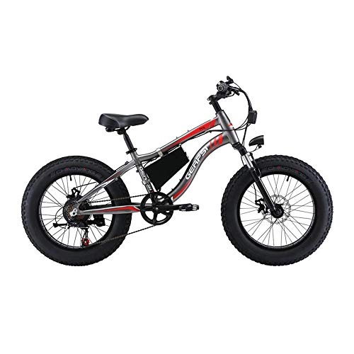 Electric Mountain Bike : zcsdf Outdoor Travel Equipment Roadbike Mountain E-Bike 7 Speeds 20 inch Snow Wide Tire Bike 36V / 250W Mjd System Waterproof Technology Removable Lithium Battery