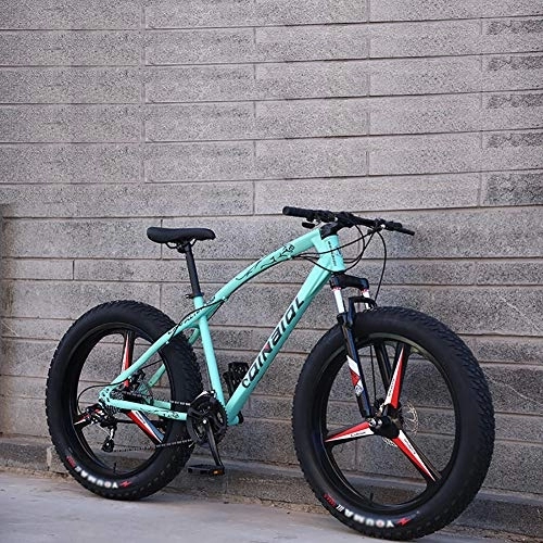 Fat Tyre Mountain Bike : 24 Inch Mountain Bikes, Dual Disc Brake Bicycle With Front Suspension Adjustable Seat, Adult Boys Girls Fat Tire Trail Mountain Bike Green 3 Spoke 24", 21-speed