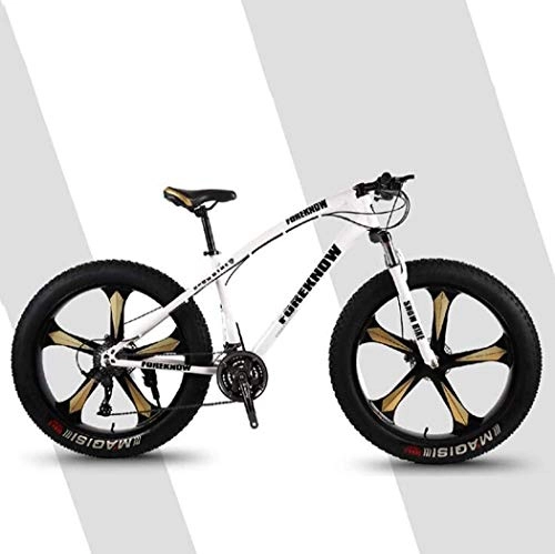 Fat Tyre Mountain Bike : 26" 24-Speed Fat Tire Mountain Bike All Terrain Mountain Bike Double Disc Brake Bike High-Carbon Steel Hard Tail Mountain Bicycle with Adjustable Seat (Color : White, Size : 26" 24 speed)