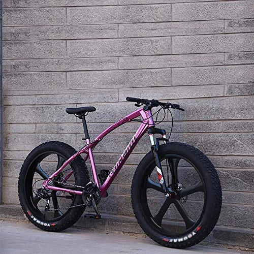 Fat Tyre Mountain Bike : 26 Inch Fat Tire Bicycle, Men Women Students Variable Speed Bike, Men's High-carbon Steel Frame Hardtail Mountain Bikes Pink 5 Spoke 26", 21-speed