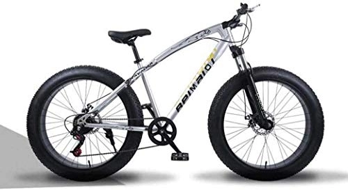 Fat Tyre Mountain Bike : Adult 24 Speed Mountain Bikes, 26 Inch Fat Tire Hardtail Mountain Bike, Dual Suspension Frame And Suspension Fork All Terrain Mountain Bicycle (Color : 24 Speed, Size : Silver spoke)