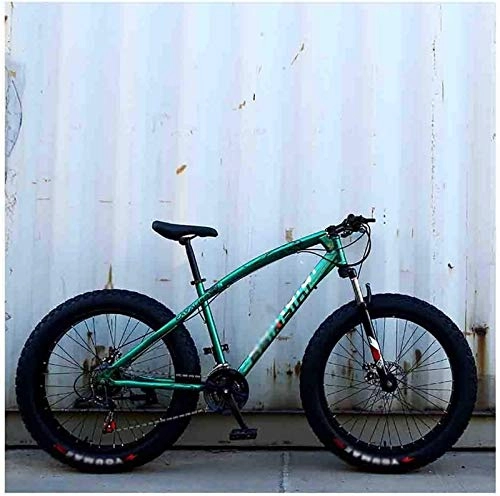 Fat Tyre Mountain Bike : aipipl Bicycle Mountain Bike MTB Adult Beach Snowmobile Bicycles For Men And Women 24IN Wheels Adjustable Speed Double Disc Brake Off-road Bike
