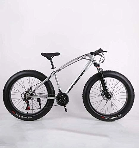 Fat Tyre Mountain Bike : Alqn Fat Tire Adult Mountain Bike, High-Carbon Steel Frame Cruiser Bikes, Beach Snowmobile Bicycle, Double Disc Brake 26 inch Wheels, Silver, 21 Speed