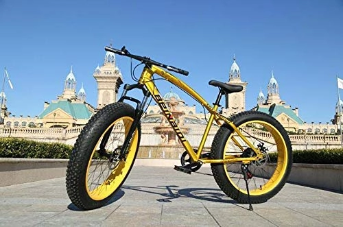 Fat Tyre Mountain Bike : ALQN Mountain Bikes, Dual Disc Brake Fat Tire Cruiser Bike, High-Carbon Steel Frame, Adjustable Seat Bicycle, Gold, 26 inch 24 Speed