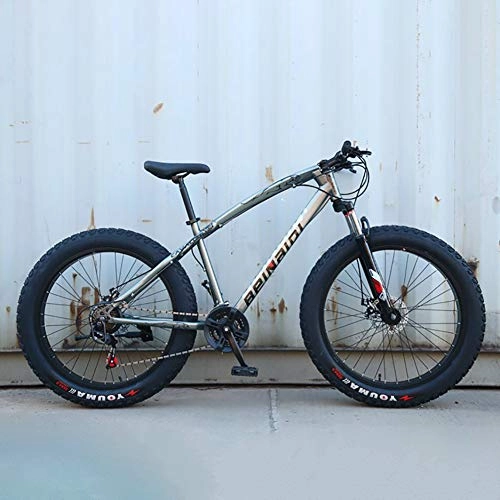 Fat Tyre Mountain Bike : AURALLL Mountain Bikes, Fat Tire Hardtail Mountain Bike, All Terrain Mountain Bike with Front Suspension Adjustable Seat(7-Speed 24" 26 Inch), Silver, 7speed 26 inch