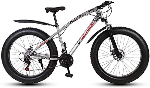 Fat Tyre Mountain Bike : baozge Mens Adult Fat Tire Mountain Bike Variable Speed Snow Bikes Double Disc Brake Beach Bicycle 26 inch Wheels Cruiser Bicycles Black 24 Speed-21 speed_Silver