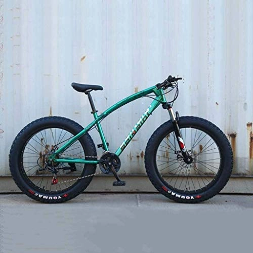Fat Tyre Mountain Bike : Ceiling Pendant Adult-bcycles BMX Mountain Bike, Road Bicycle, Hard Tail Bike, Fat Tire Mountain Bike, 24 Inch 7 / 21 / 24 / 27 / 30 Speed Bike, Adult Student Variable Speed Bike (Color : J, Size : 30 speed)
