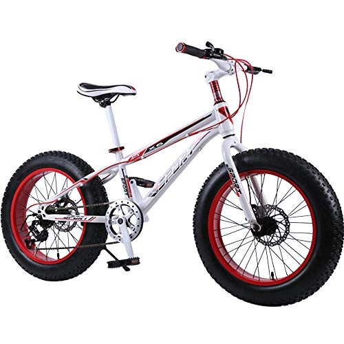 Fat Tyre Mountain Bike : DRAKE18 Fat bike, 20 inch 7 speed variable speed snow beach off-road bicycle men's outdoor riding, A