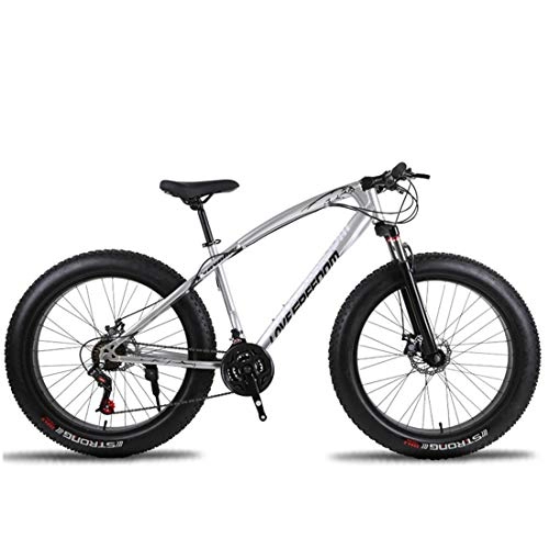 Fat Tyre Mountain Bike : DRAKE18 Fat Bike, 26 Inches Snow Mountain Bike 24 Speed Variable Speed Cross Country 4.0 Big Tires Adult Outdoor Riding, Silver