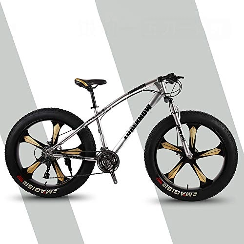 Fat Tyre Mountain Bike : F-JX 26" Mountain Bike, Double-disc Mountain Snowmobile, Beach Fat Tire Speed Bicycle, Steel Bicycle Frame, Gray, 26 inch 21 speed