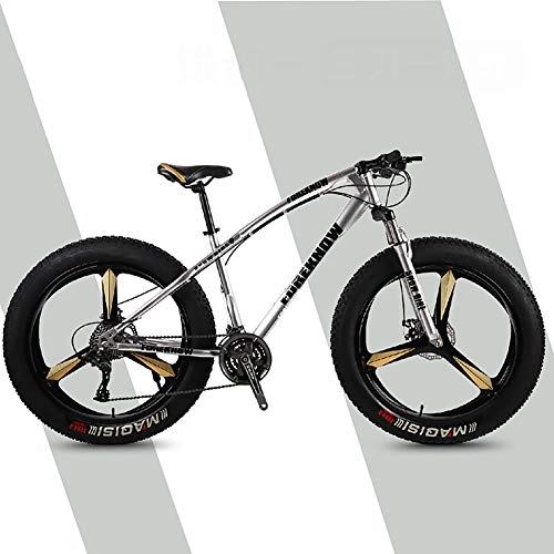 Fat Tyre Mountain Bike : F-JX 26" Mountain Bike, Double-disc Mountain Snowmobile, Beach Fat Tire Speed Bicycle, Steel Bicycle Frame, Gray, 26 inch 7 speed