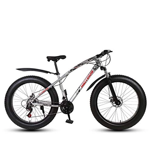 Fat Tyre Mountain Bike : GASLIKE Mens Adult Fat Tire Mountain Bike, Variable Speed Snow Bikes, Double Disc Brake Beach Bicycle, 26 Inch Wheels Cruiser Bicycles, Silver, 24 speed