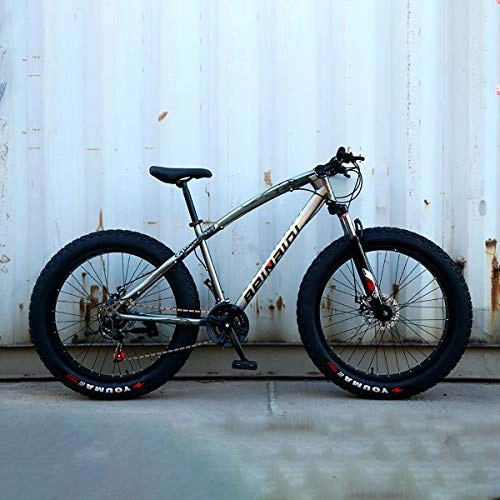 Fat Tyre Mountain Bike : GAYBJ Snowmobile fat bike Mountain Bike 7 / 21 / 24 / 27 Speed Dual Suspension Mountain Bike 24 / 26 Inches Bicycle Beach Cruiser Fat Big Tyre Bicycle, G, 24 inch 7 speed